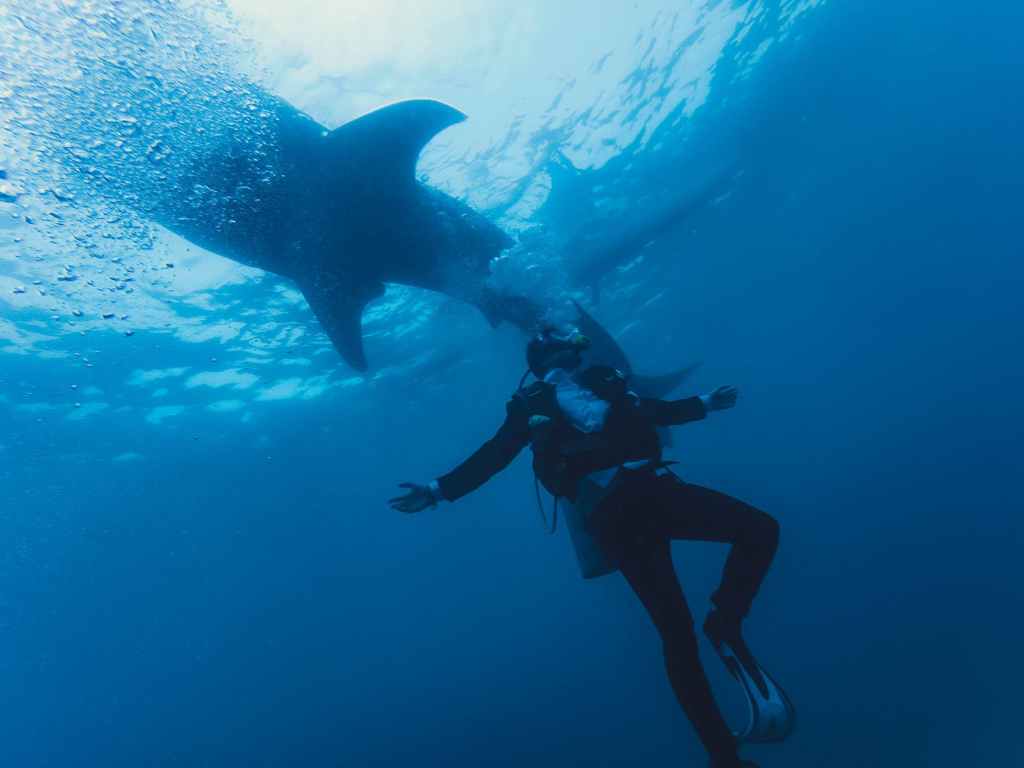 Why is sea tourism&nbsp;important?